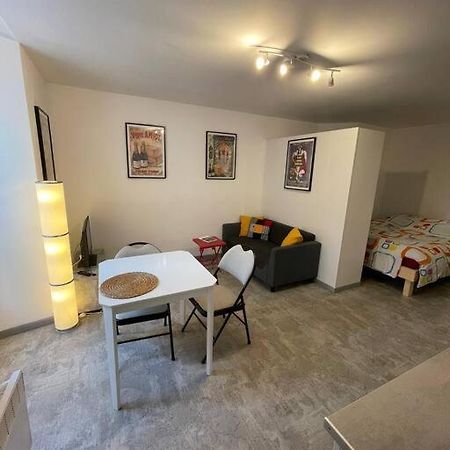 Studio Rdc Parking Prive Gratuit Doué-la-Fontaine Exteriér fotografie
